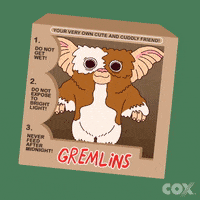 A Christmas Story Gremlins GIF by Cox Communications
