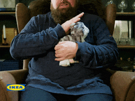 cat GIF by IKEA Nederland