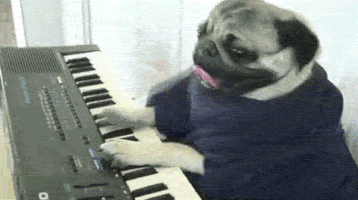 Keyboard Pug GIFs - Get the best GIF on GIPHY