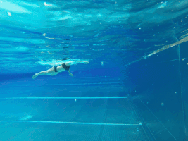 Turn Around Swimming GIF