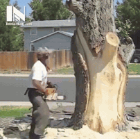 Fun GIF