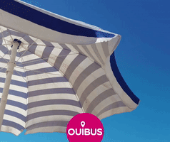 GIF by OUIBUS