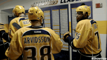 all access nhl GIF by SHOWTIME Sports