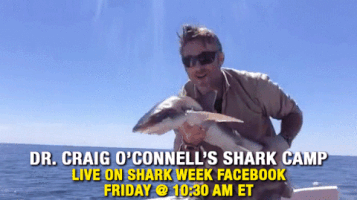 Shark Week Craig Oconnell GIF by Discovery