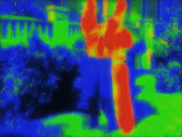 200.gif?cid=fc005b08b227f7e6fe48e6c8565065c083af74d906ff37e6&rid=200.gif&ct=g