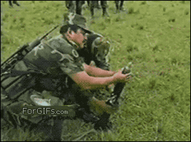 alicecorn  GIF