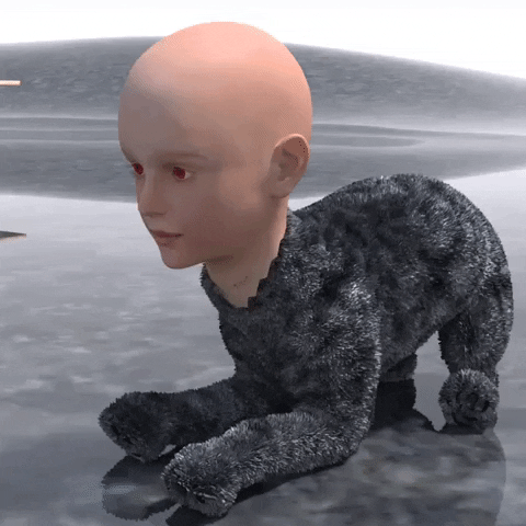 Dog Wtf GIF by Cool 3D World