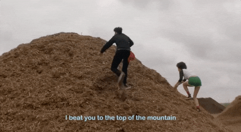 giphy.gif