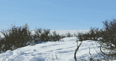 run away discovery channel GIF by Discovery