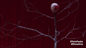 Twin Peaks GIF by Twin Peaks on Showtime