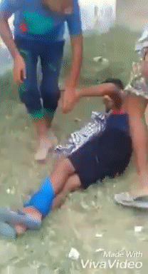 wittyfeedcom  GIF