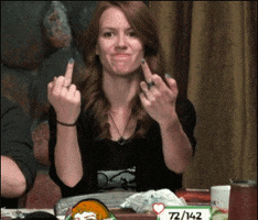 Dungeons And Dragons Middle Finger GIF by Alpha