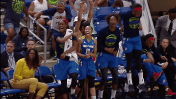wings bench love GIF by WNBA