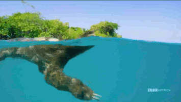 200.gif?cid=fc005b08ad13656045b447bcea948179899ddd6c38c68391&rid=200.gif&ct=g