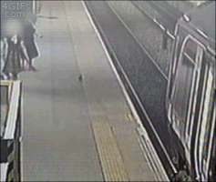 johnmaike  GIF