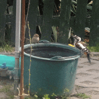 200.gif?cid=fc005b087845f4f1b14654863f475ebb416bb73e7b328fca&rid=200.gif&ct=g