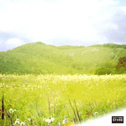 kathleendesaran shopping whiskey offers bangalore GIF