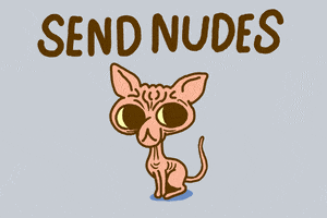Send Nudes GIF