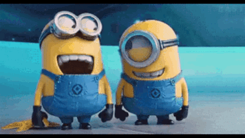 bollyfacts funny minions minion ha ha GIF