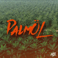 palm oil facepalm GIF by funk