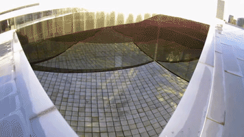 Richardrhodes GIF by Tacoma Art Museum