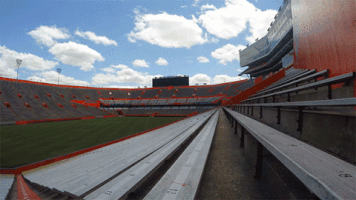 college football clouds GIF by University of Florida