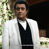 why are you here go away GIF by American Gods