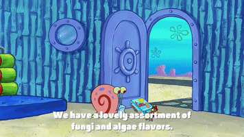 season 9 episode 25 GIF by SpongeBob SquarePants