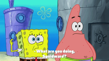season 10 episode 6 GIF by SpongeBob SquarePants