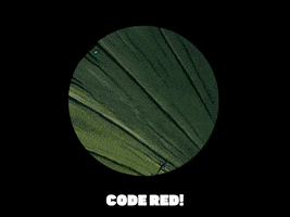 200.gif?cid=fc005b08c051ea99d4c5418209ce7c904e66f18fa6060d43&rid=200.gif&ct=g