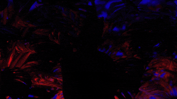 Petite Beam GIF by Petit Biscuit