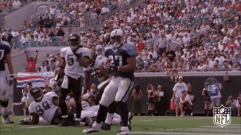 Tennessee Titans Football GIF by NFL - Find & Share on GIPHY