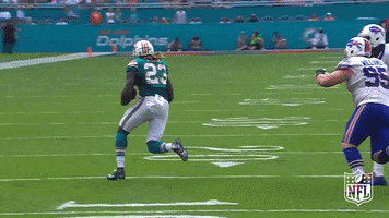 Miami Dolphins Running GIF by NFL