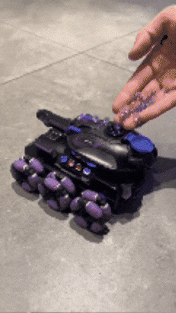 Animated GIF