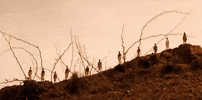 Bollywood India GIF by bypriyashah