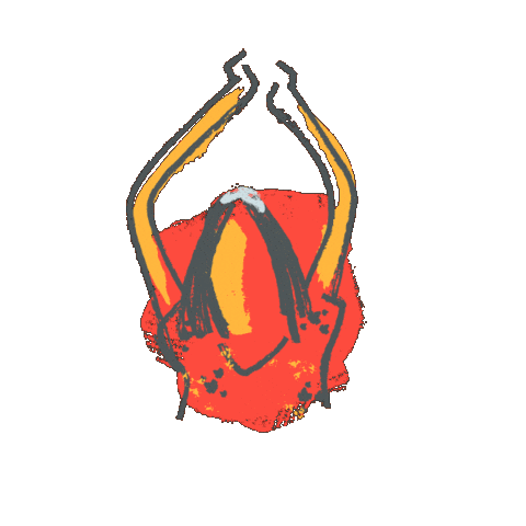 Frame By Frame Dancing Sticker