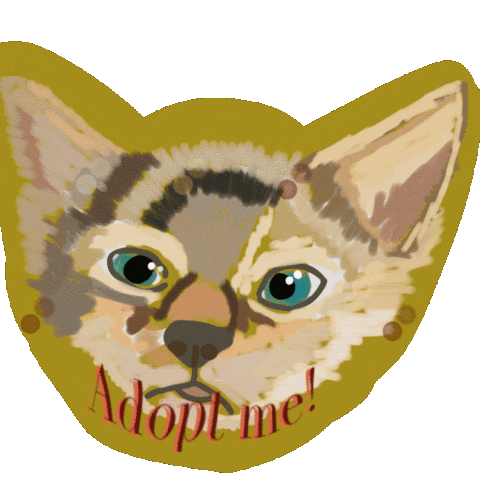 Kitten Adopt Sticker