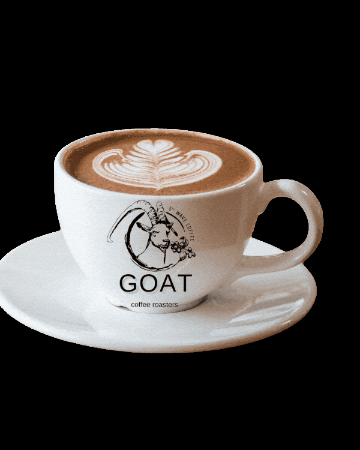 GOAT COFFEE OFFICIAL GIF
