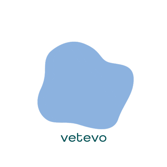 Summer Camp Sticker by vetevo