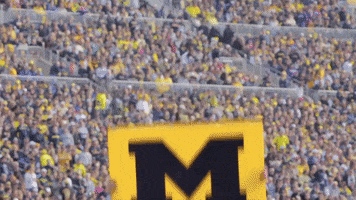 Ann Arbor Football GIF by University of Michigan