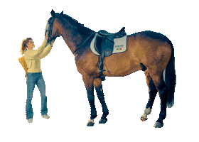 Horse Fos Sticker by Polizei NRW Karriere