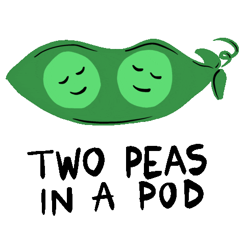 giphy.gif?cid=6c09b952n55syjmsghm2x3pr89