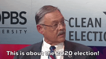 2020 Election Arizona GIF by GIPHY News