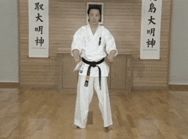 Karate GIF