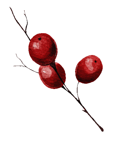 Christmas Sticker