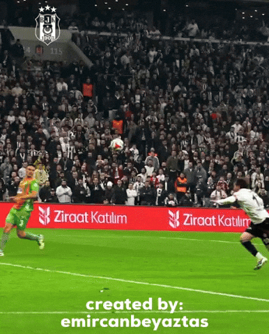 Beşiktaş GIF