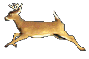 Deer Running Sticker