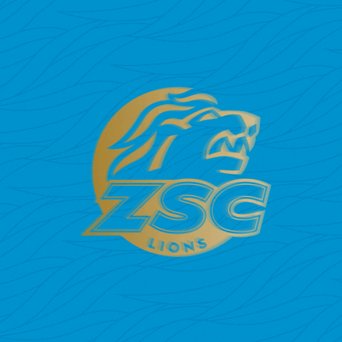 Zurich Businessclub GIF by ZSC Lions