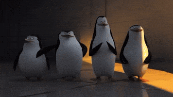 Cat Nub GIF