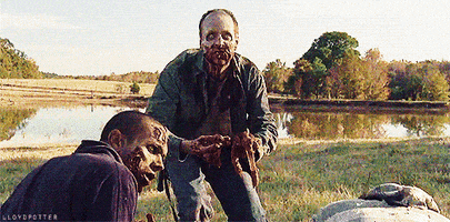  tv the walking dead zombie zombies daryl GIF